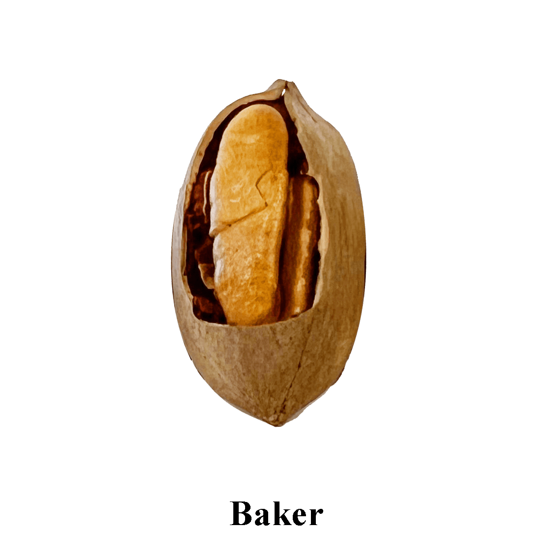 Prize 1