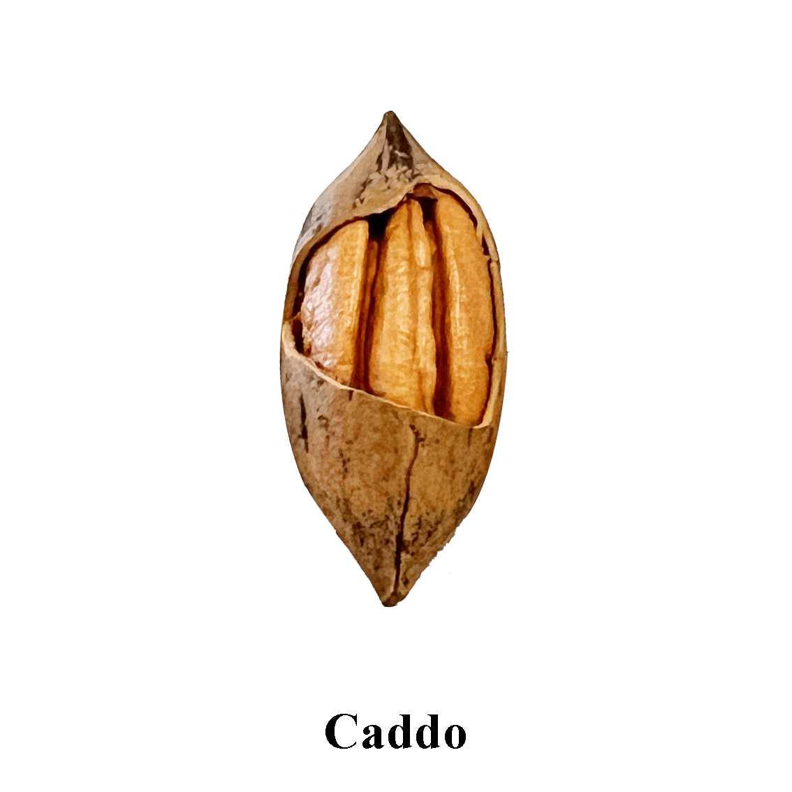 Prize 2