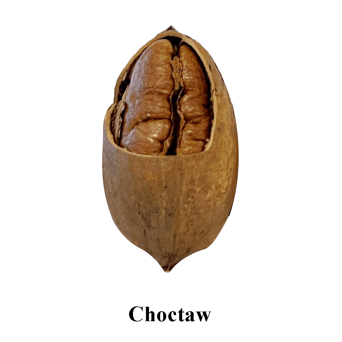 Prize 5