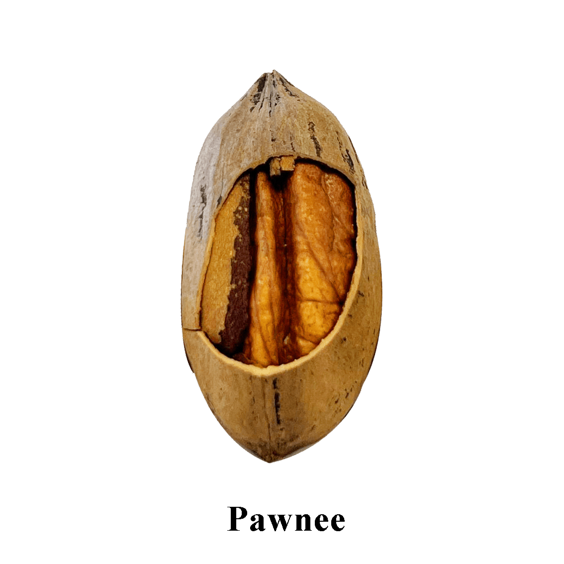 Prize 15