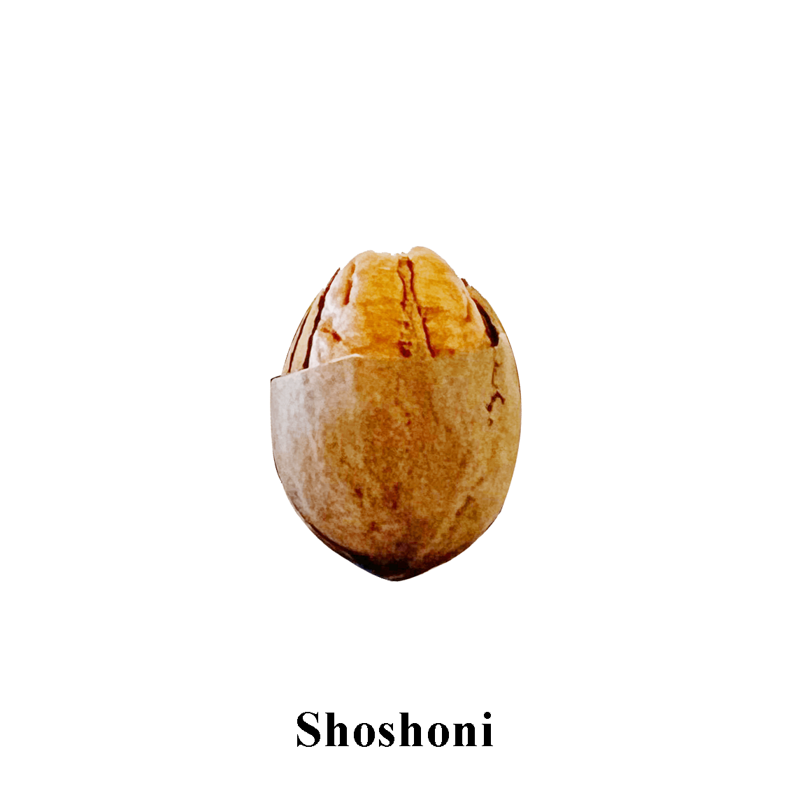 Prize 18