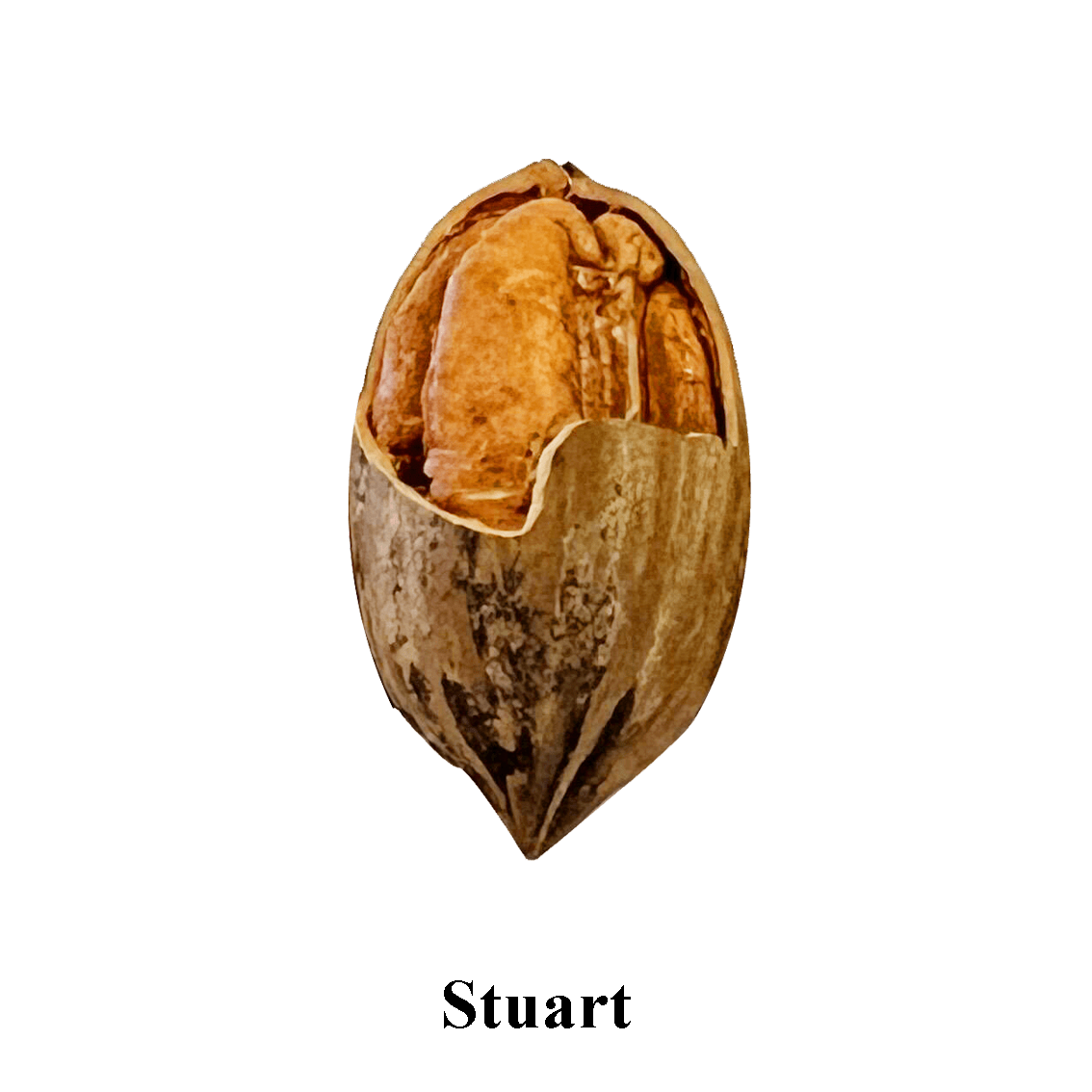 Prize 19